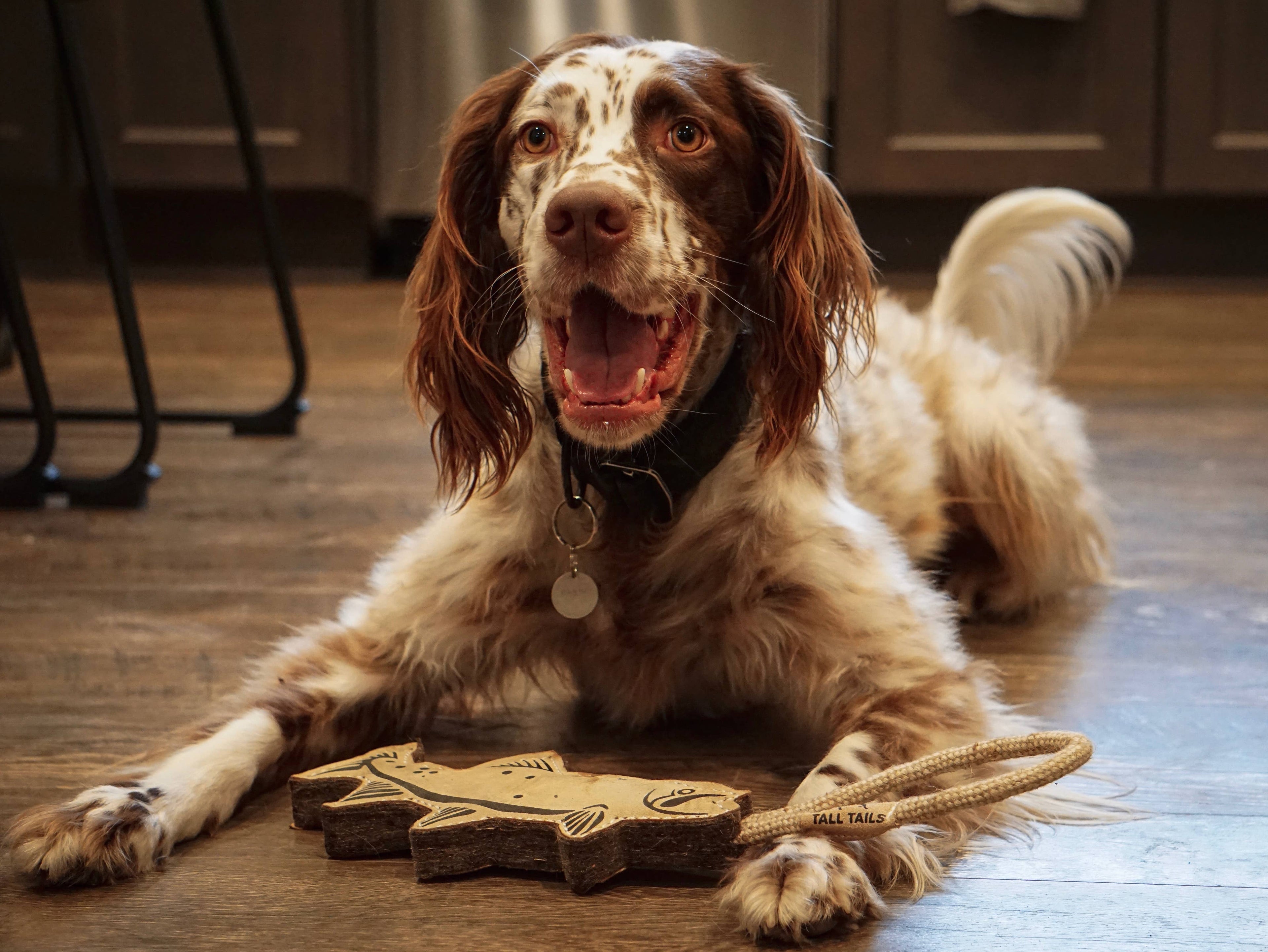 Tall Tails Natural Leather Trout Tug Dog Toy - 16"