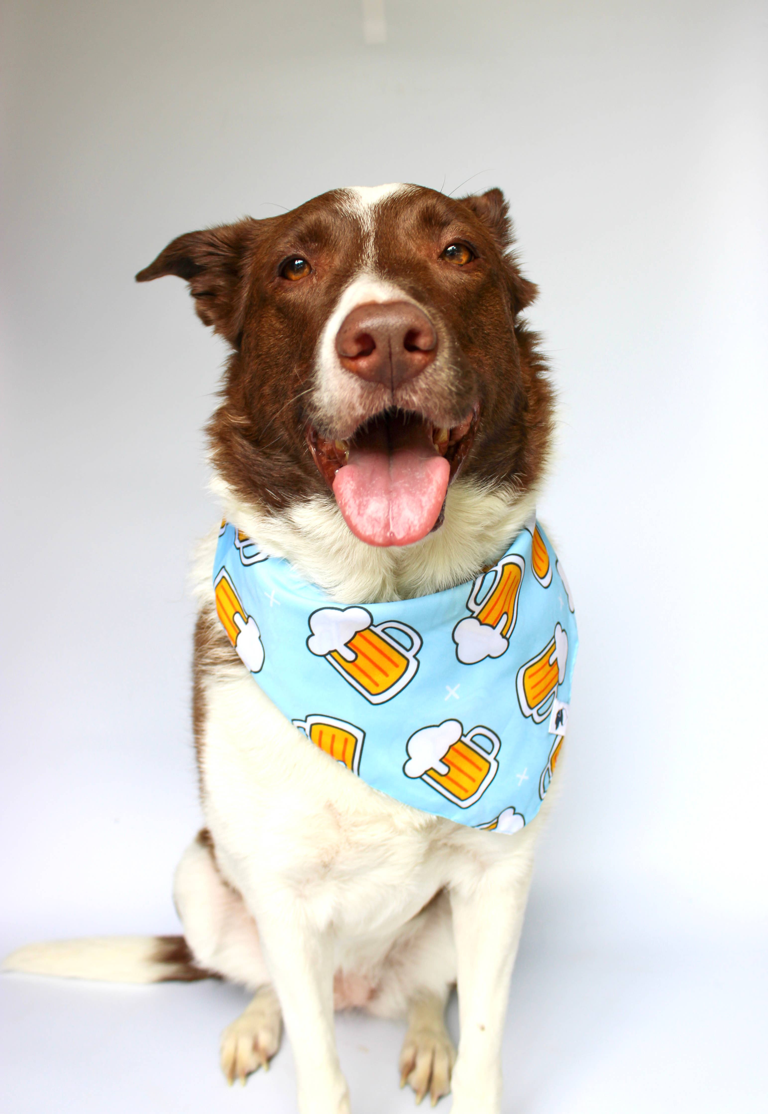 Cheers & Beer Dog Bandana