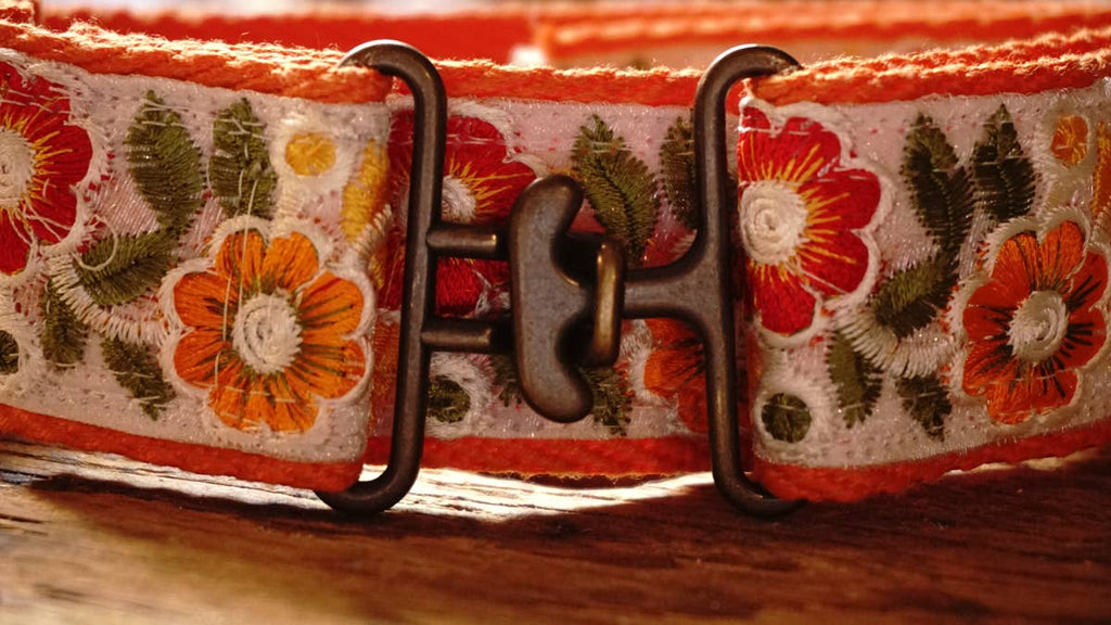orange collar with floral design