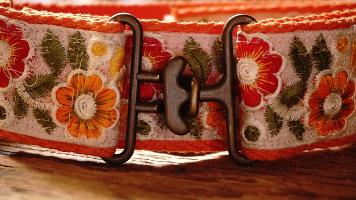 orange collar with floral design