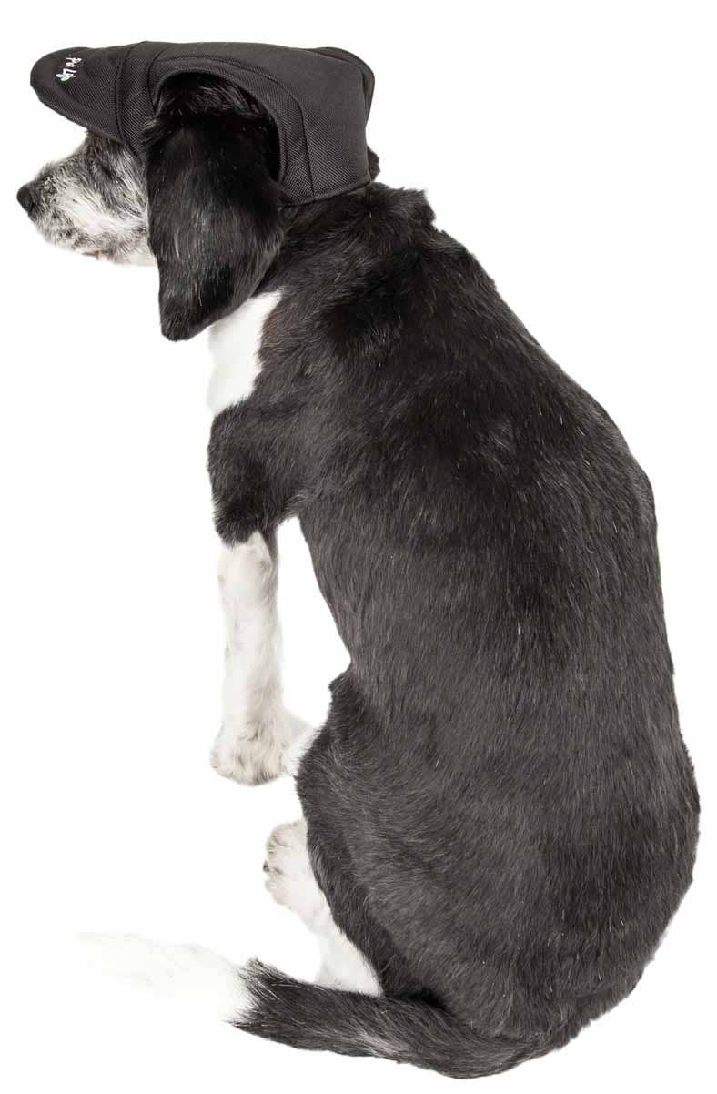 Black Dog Hat