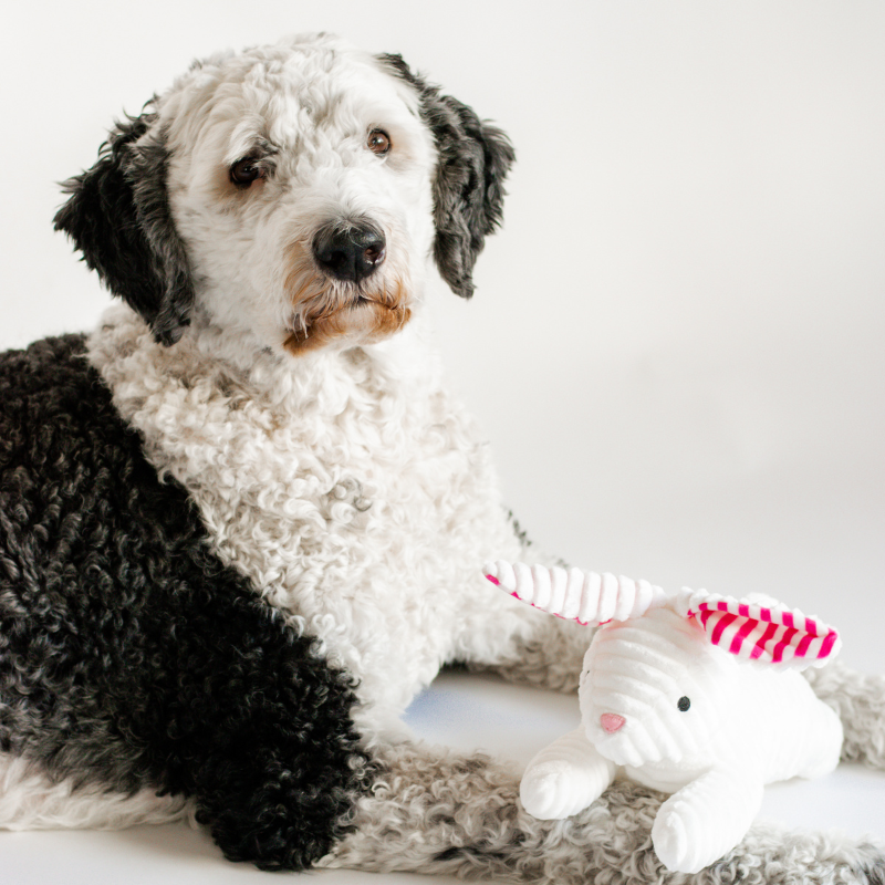 Midlee Stripe Ears White Easter Rabbit Dog Toy