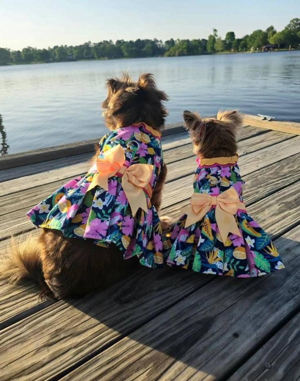 Fiesta Floral Dog Dress with Matching Leash