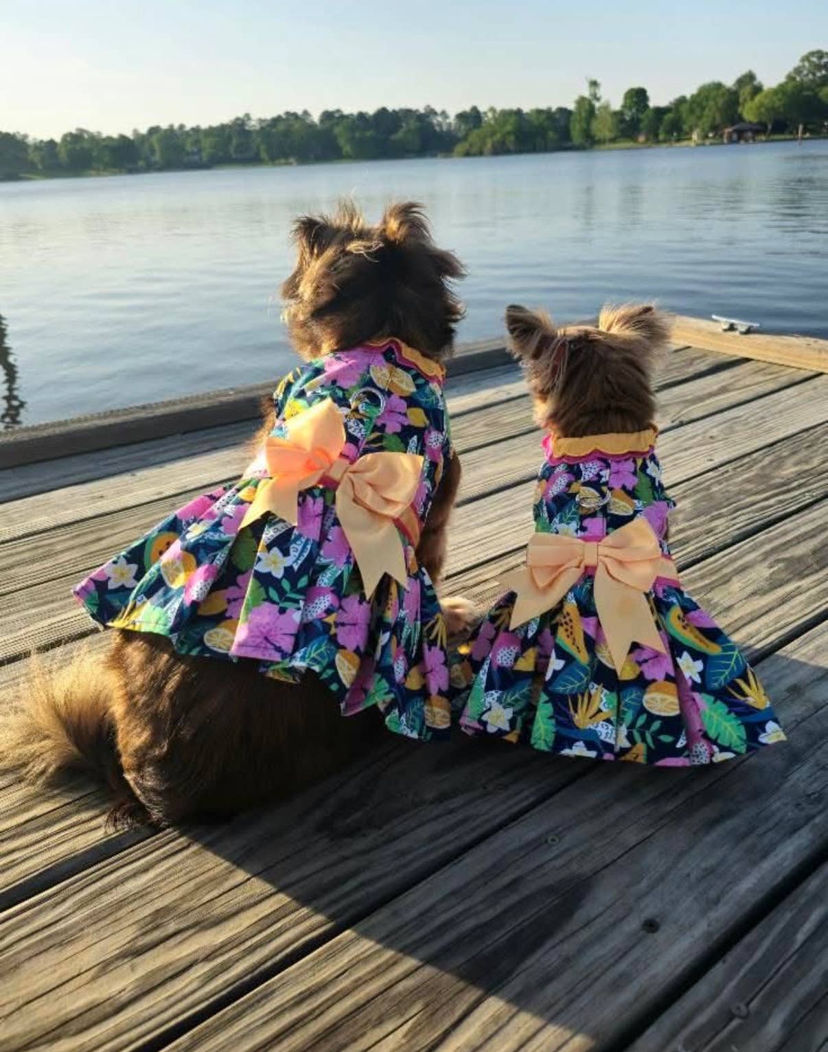Fiesta Floral Dog Dress with Matching Leash