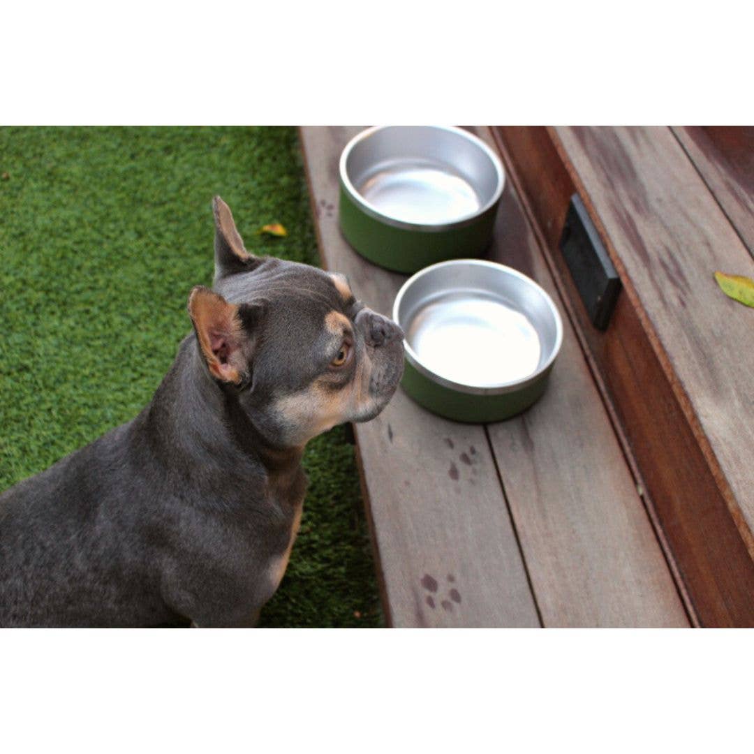 Stainless Steel Pet Food/Water Bowl - Dishwasher Safe