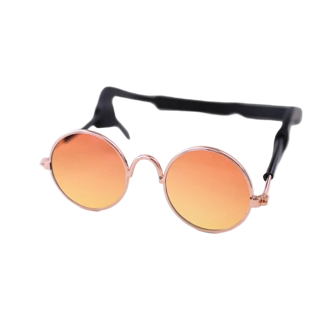 Dog Sunglasses: Orange