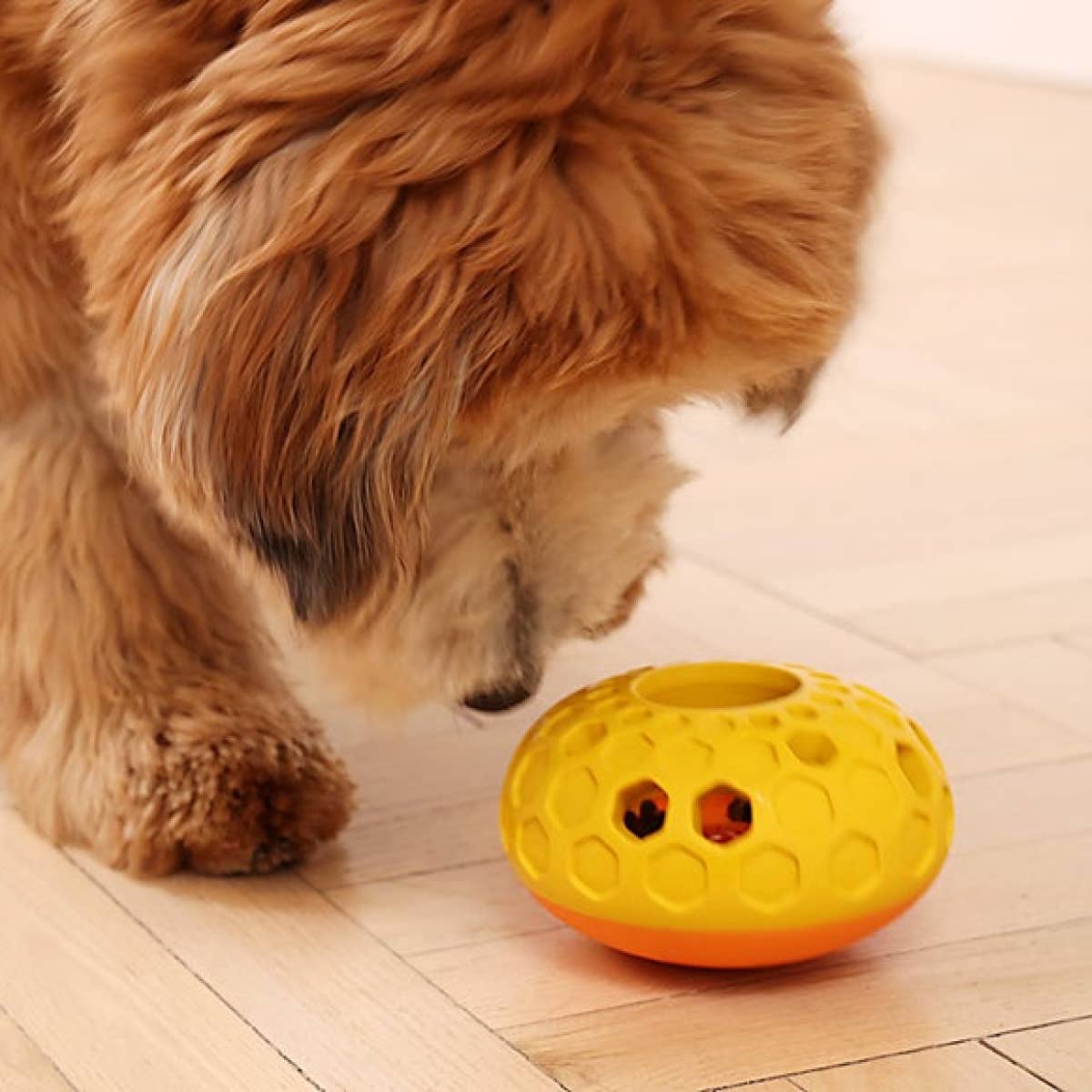 Natural Rubber Bee Hive Reward Dog Toy