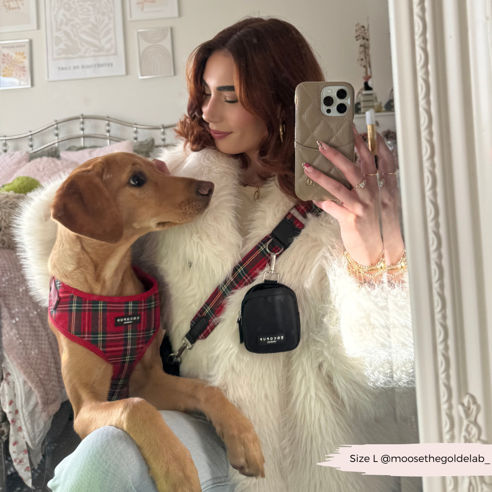 Tartan Adjustable Neck HARNESS