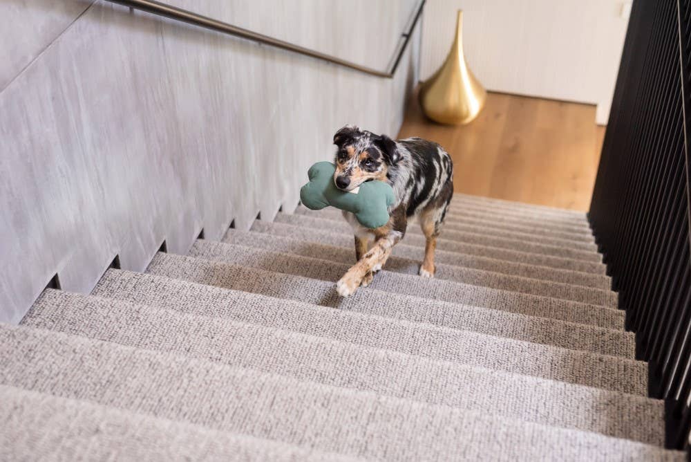 FuzzYard Life Toy Bone