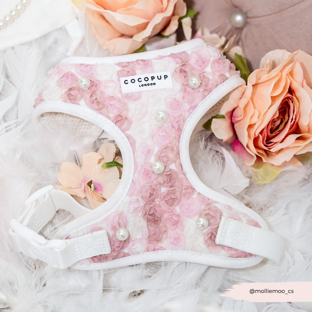 Pearly Pup Adjustable Neck HARNESS