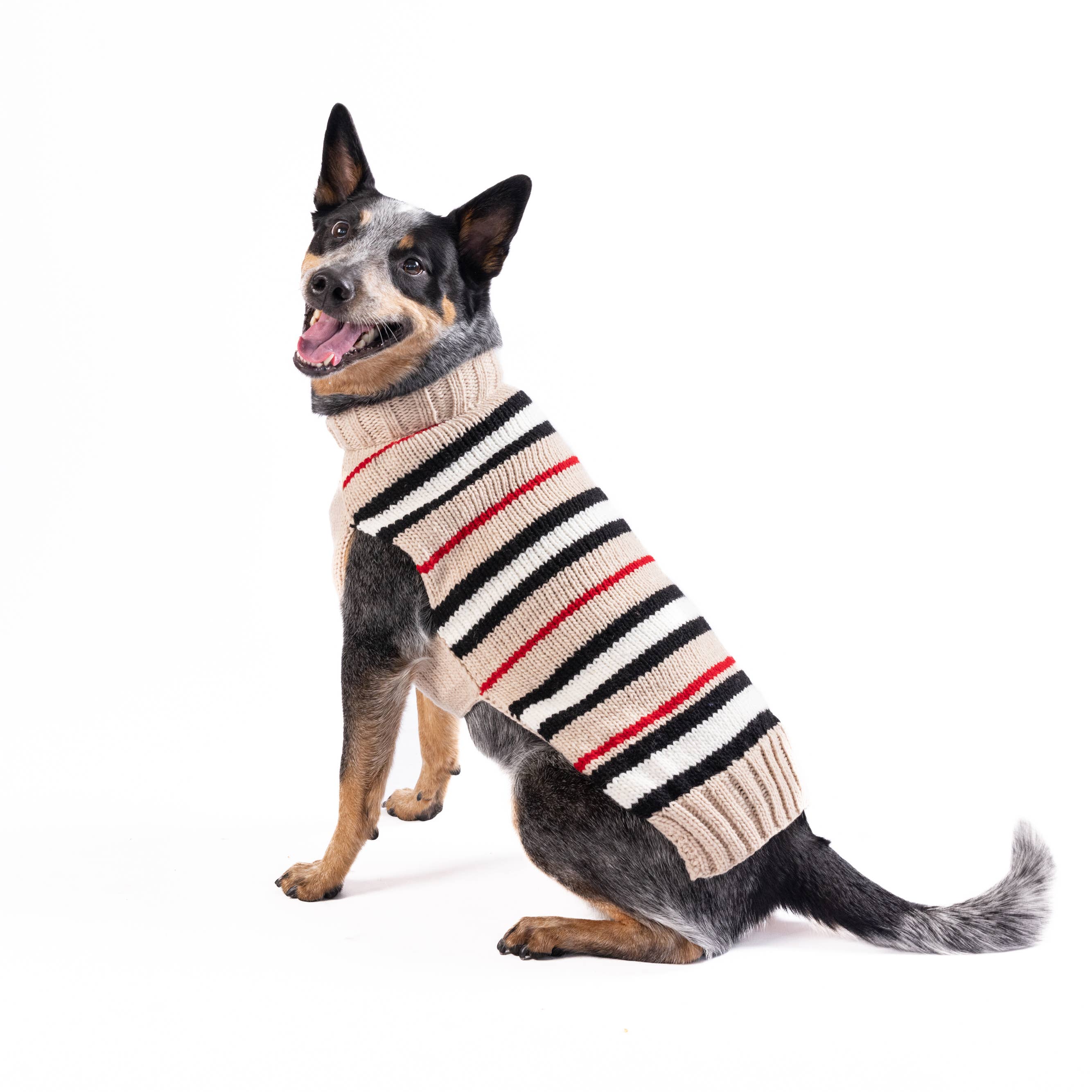 Alpaca Bentley Stripe Knit Dog Sweater