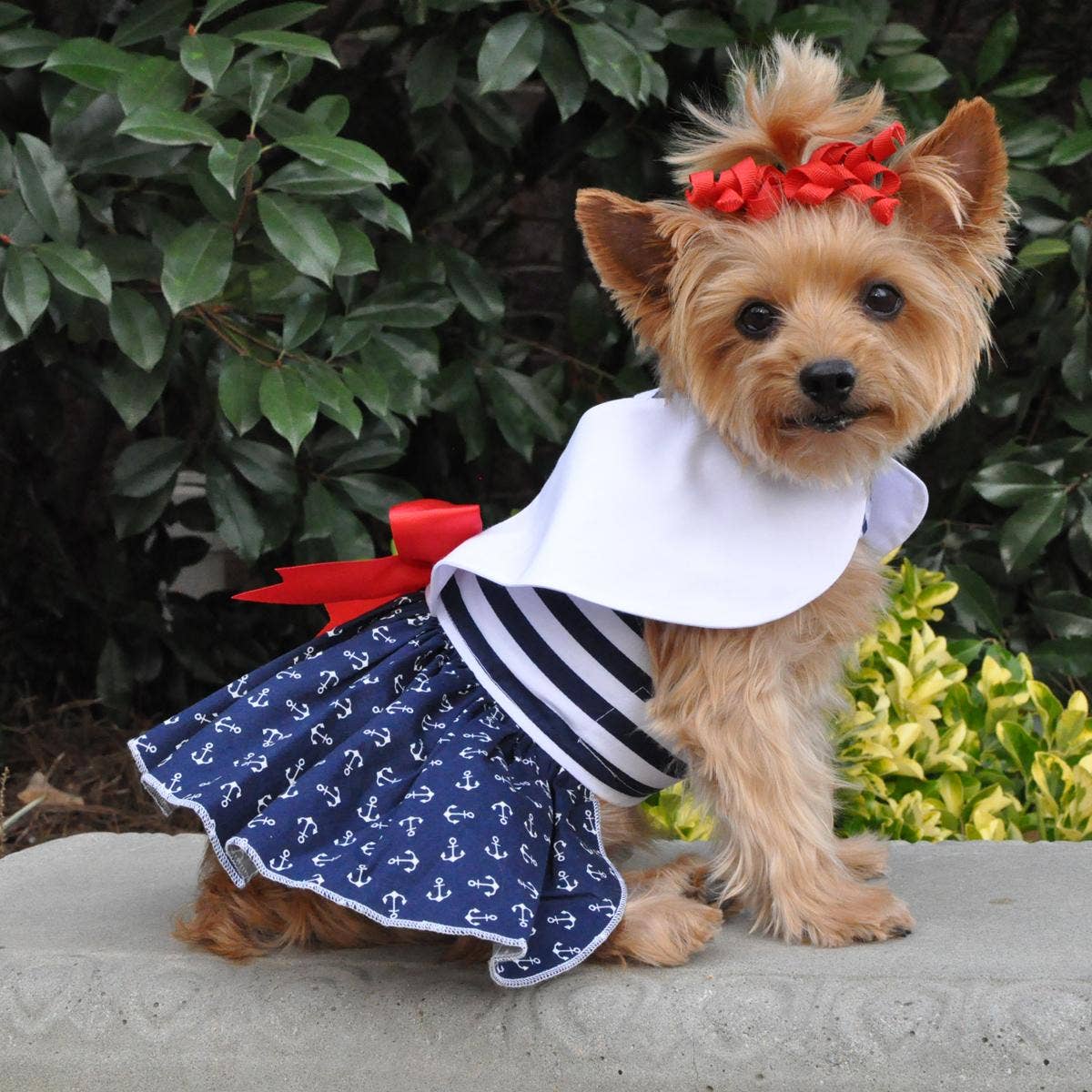 Nautical Dog Dress w/ Matching Leash