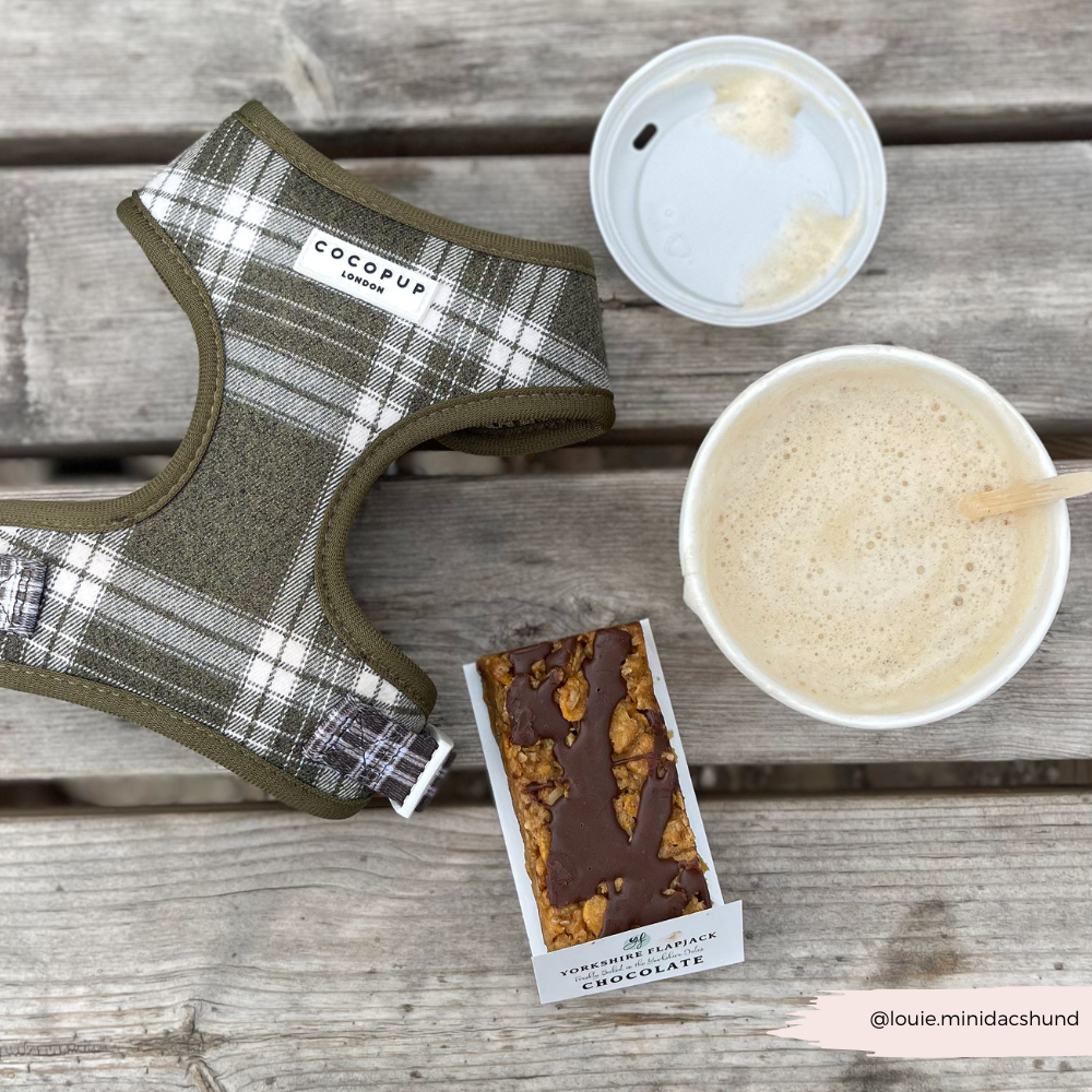 Olive Check Adjustable Neck HARNESS