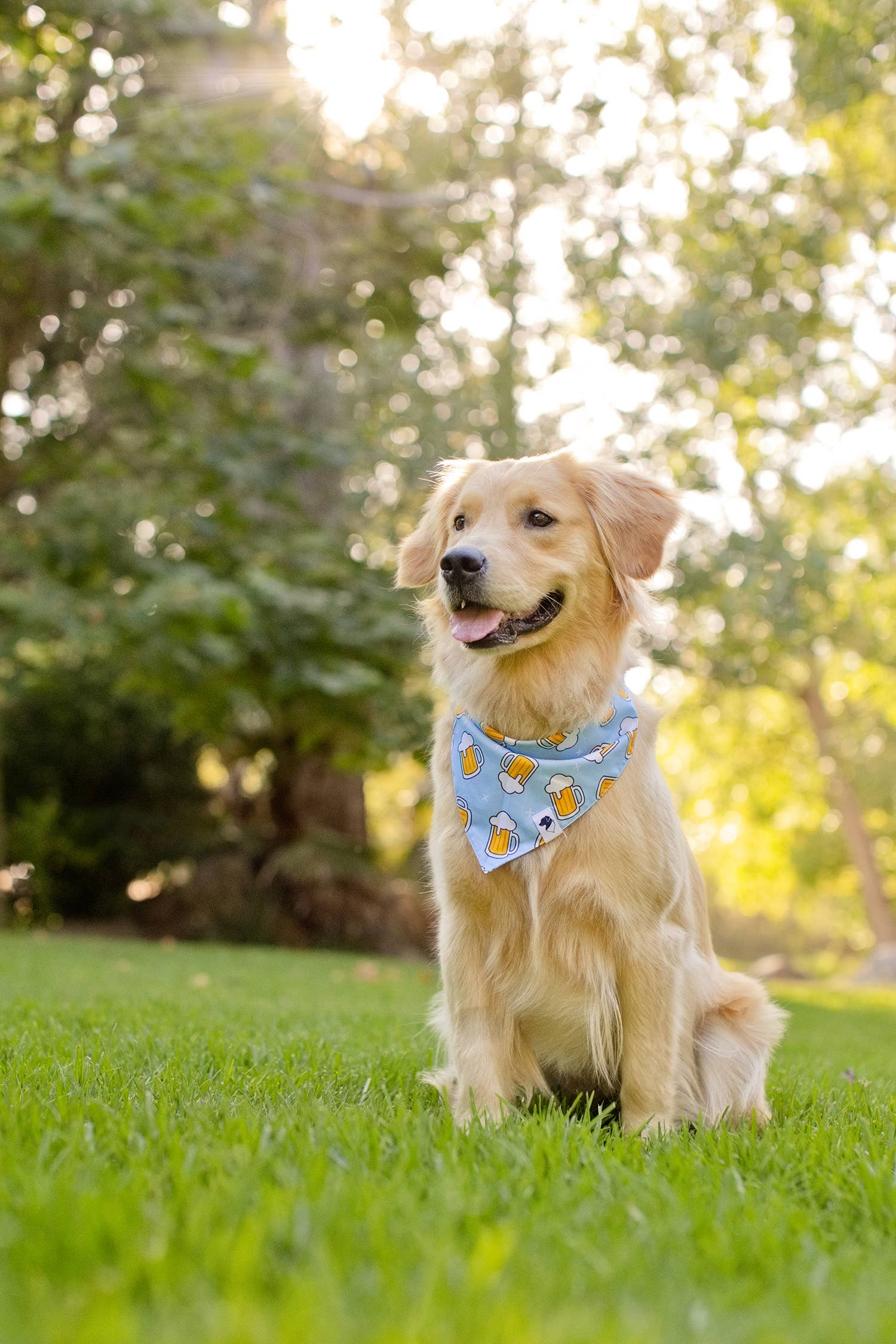 Cheers & Beer Dog Bandana