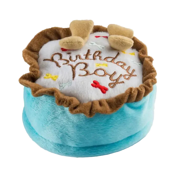 Birthday Boy Toy Squeaker Dog Toy