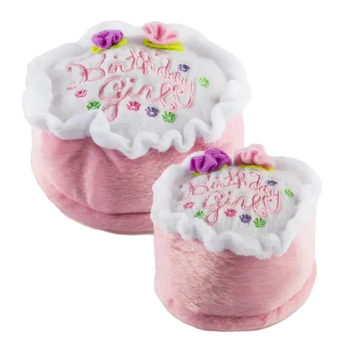 Birthday Girl Toy Squeaker Dog Toy