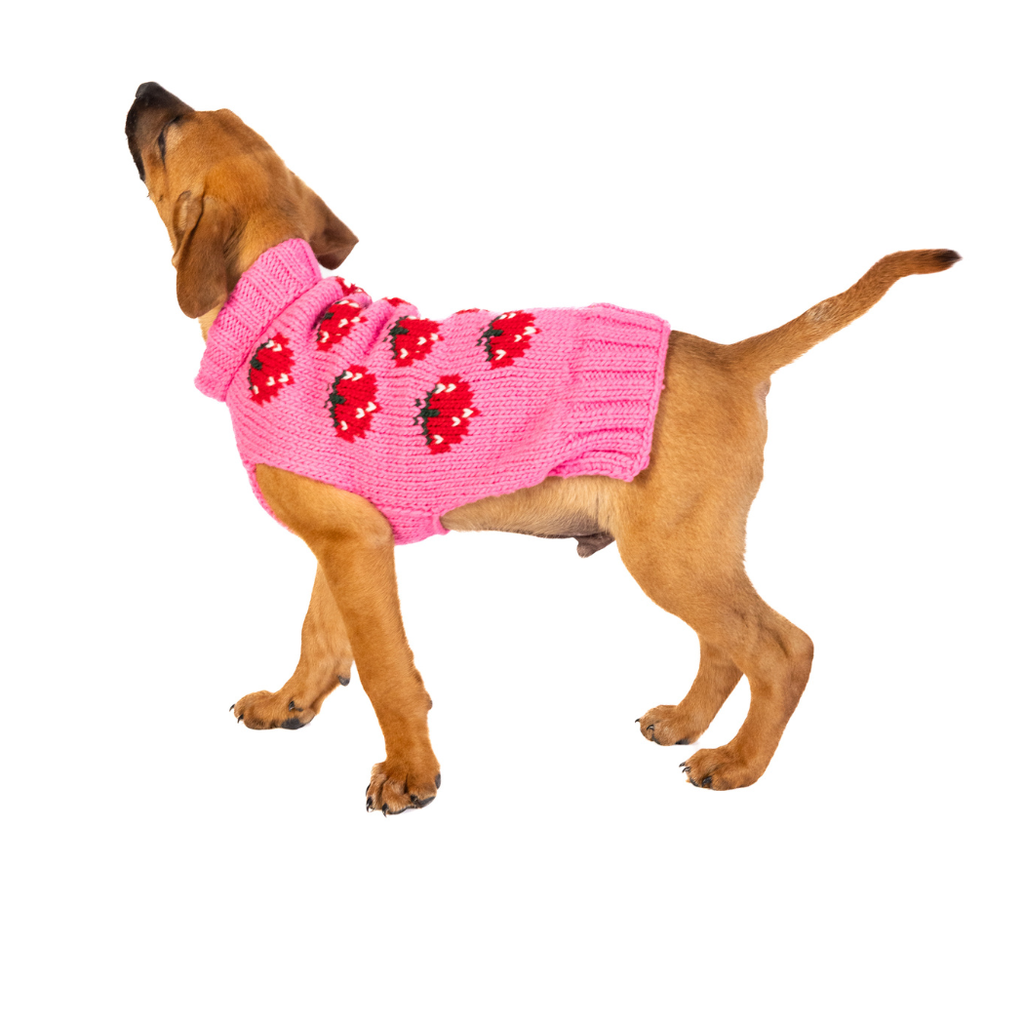 Chilly Dog Strawberry Dog & Cat Sweater