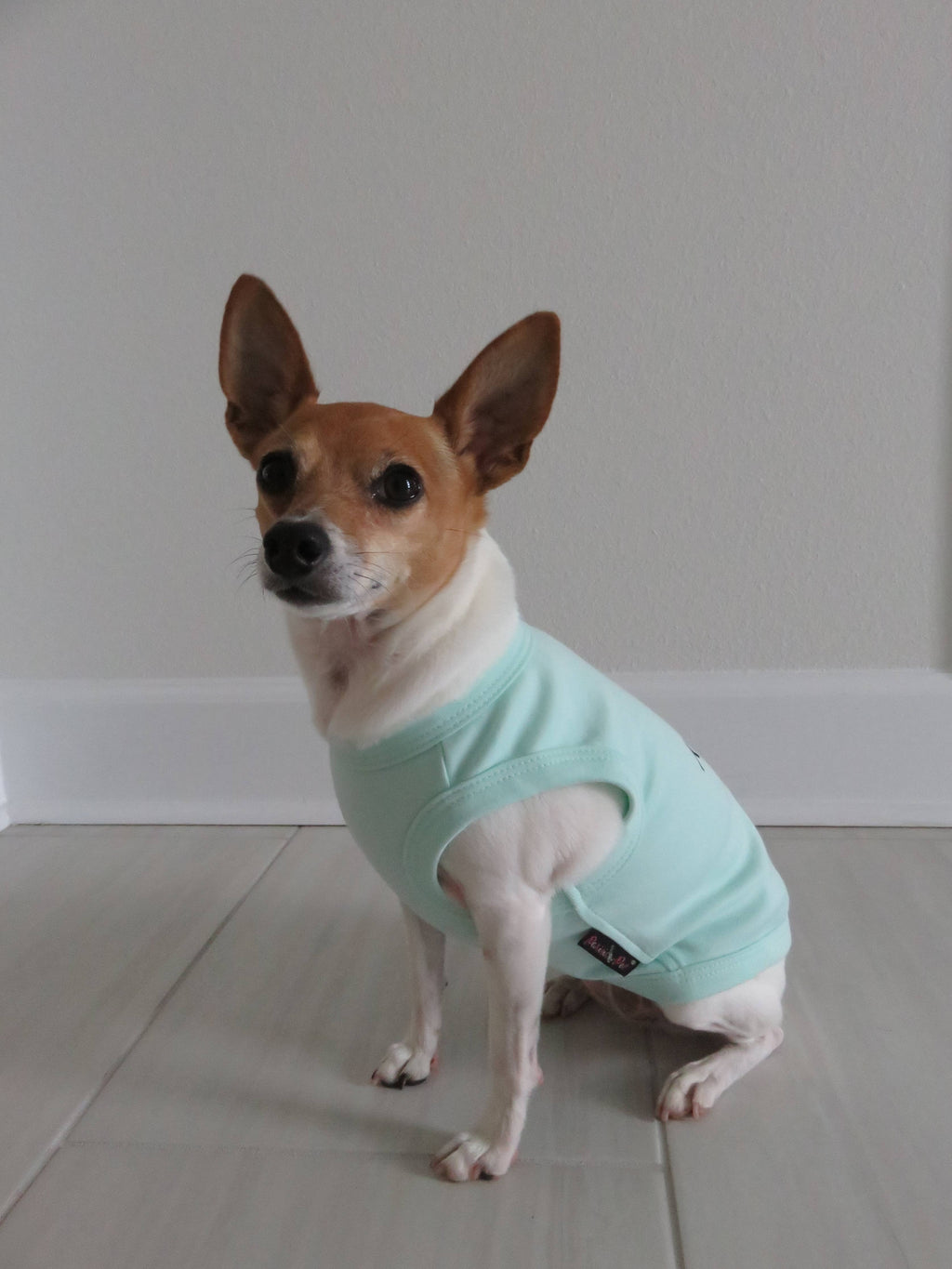 Birthday Boy Dog T-Shirt – Cute & Festive Apparel for Pups