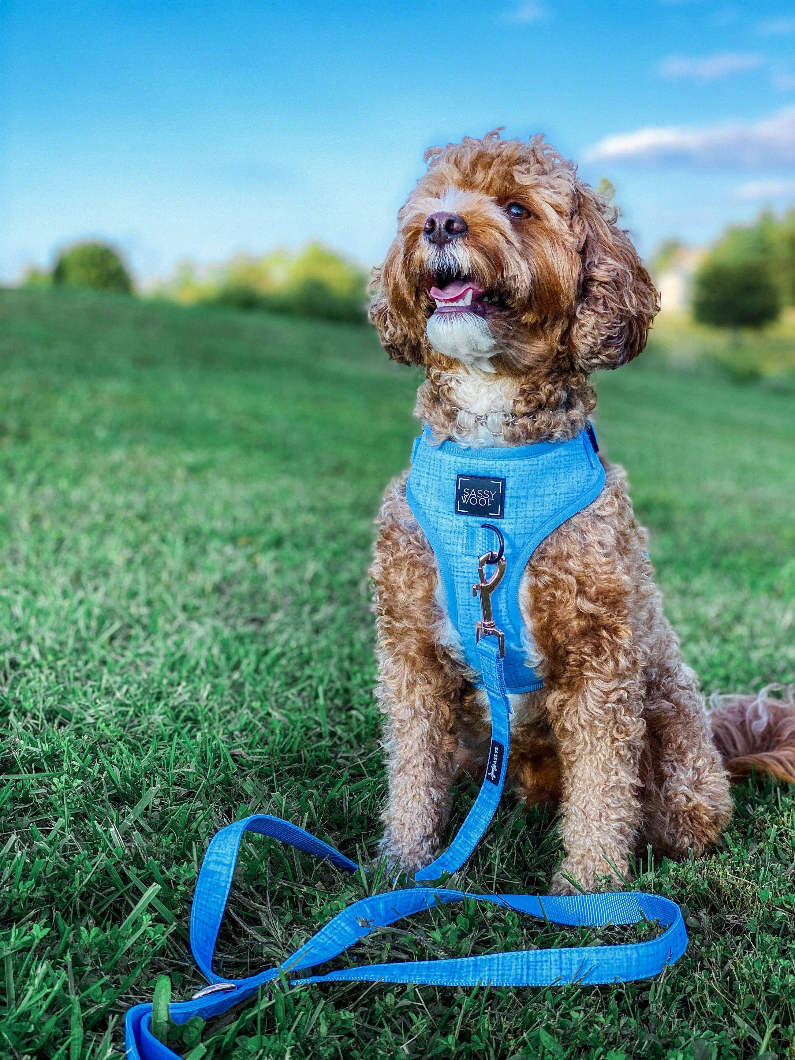 Dog Adjustable Harness - Blumond