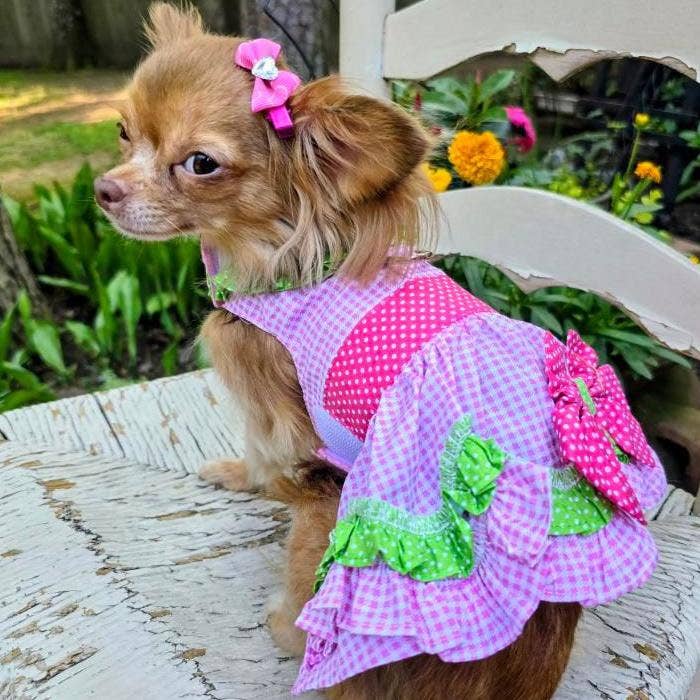 Watermelon Dog Harness Dress w/ Matching Leash