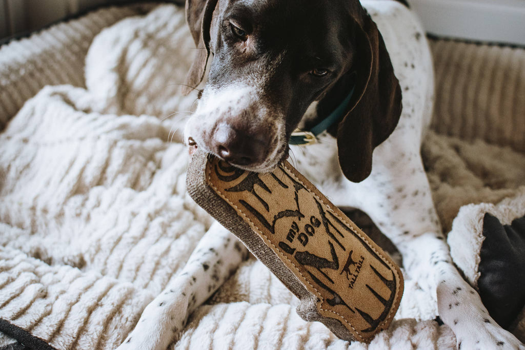 Tall Tails Natural Leather & Wool Love My Dog Log - 9"