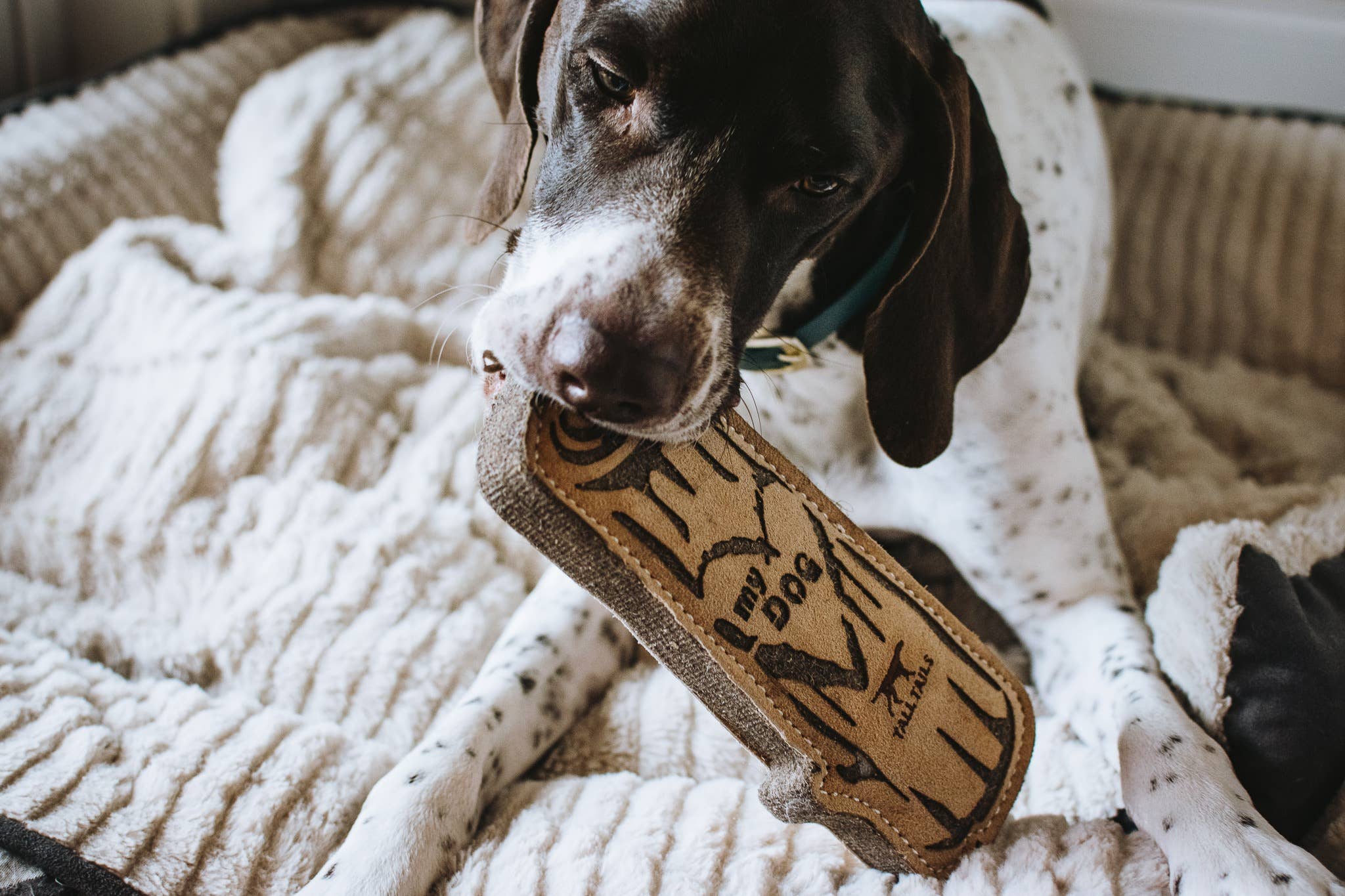 Tall Tails Natural Leather & Wool Love My Dog Log - 9"