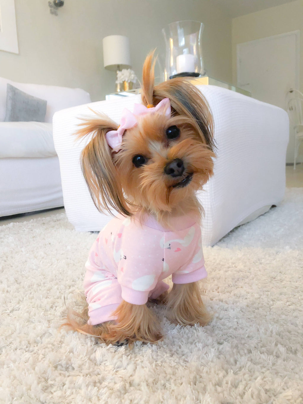 Pink Swan Pajama
