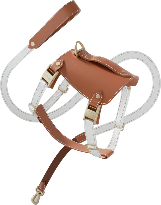 Voocoo Dog Harness Set- Latte color