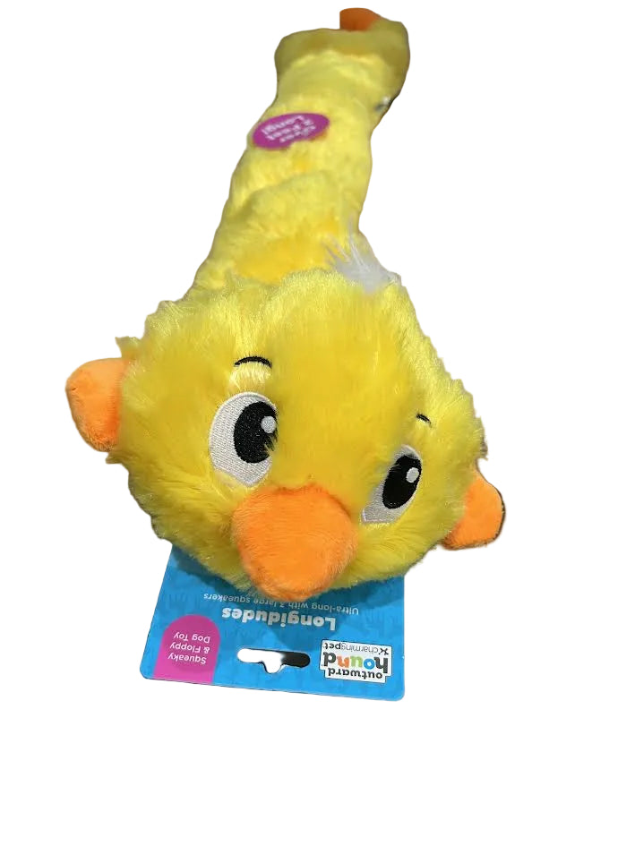 Longidudes Duck