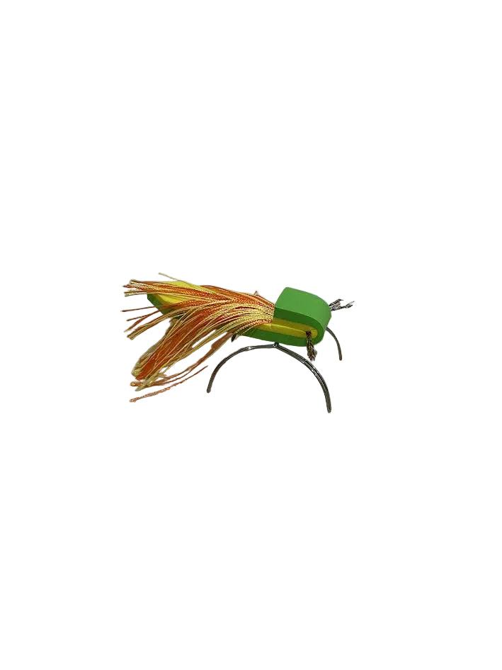 Spring Bugs