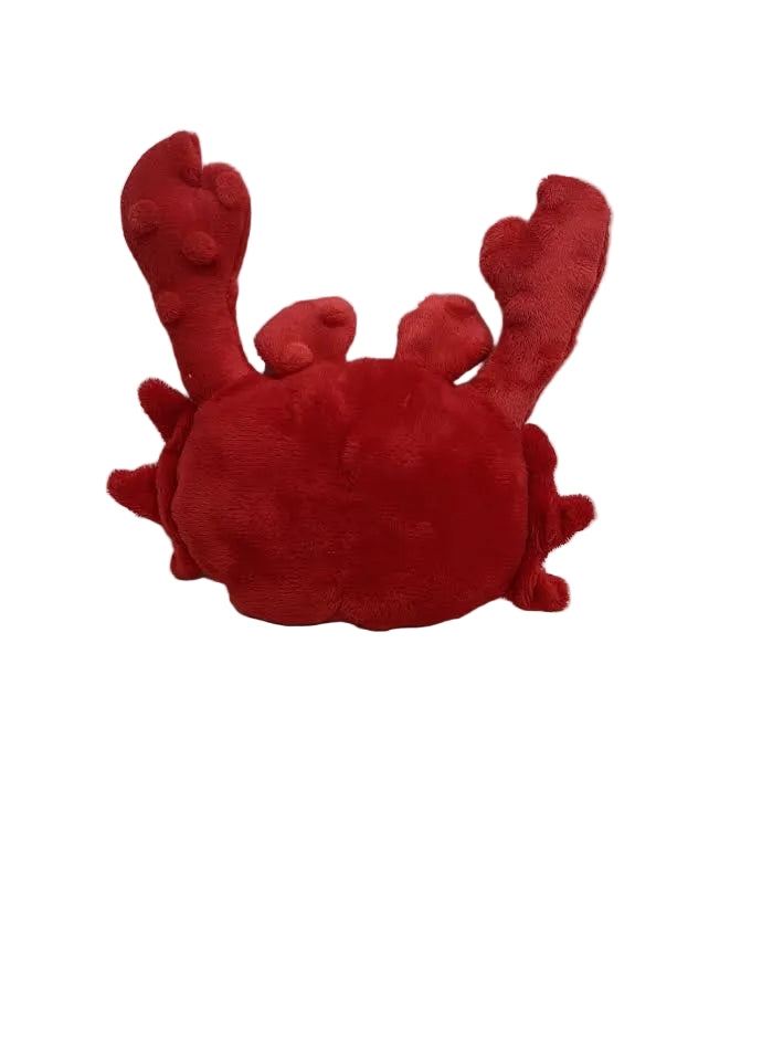 Squeaky Ocean Animals