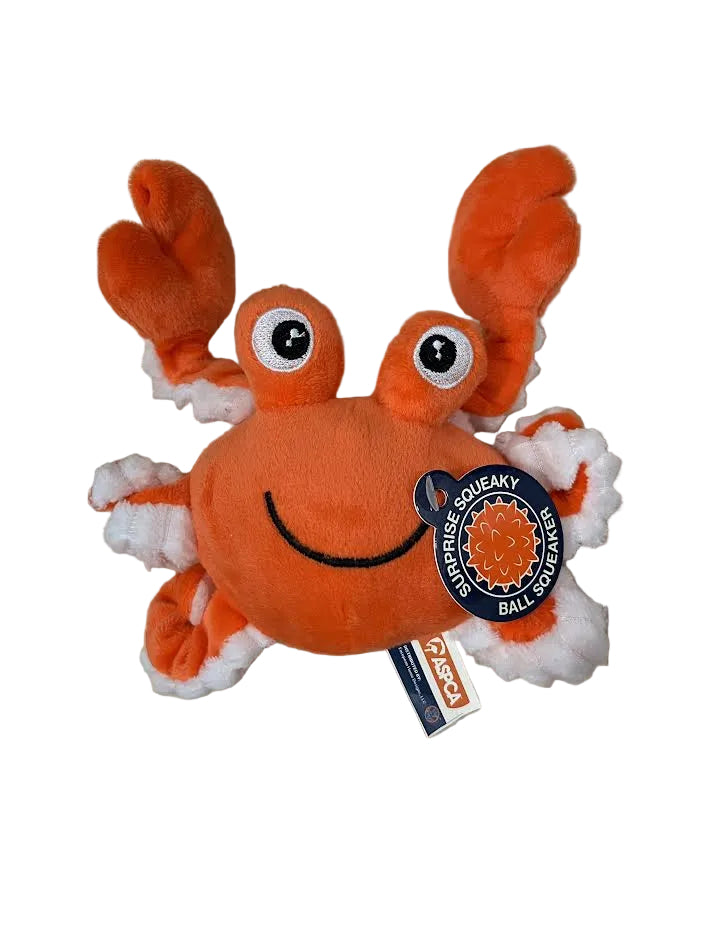 Squeak and Tug Crab