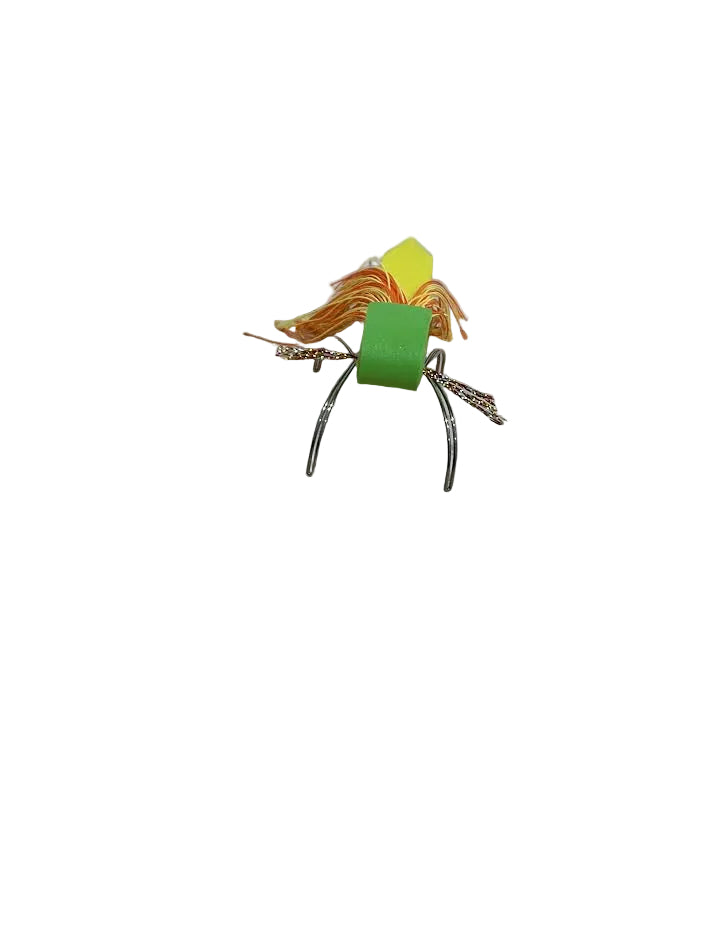 Spring Bugs