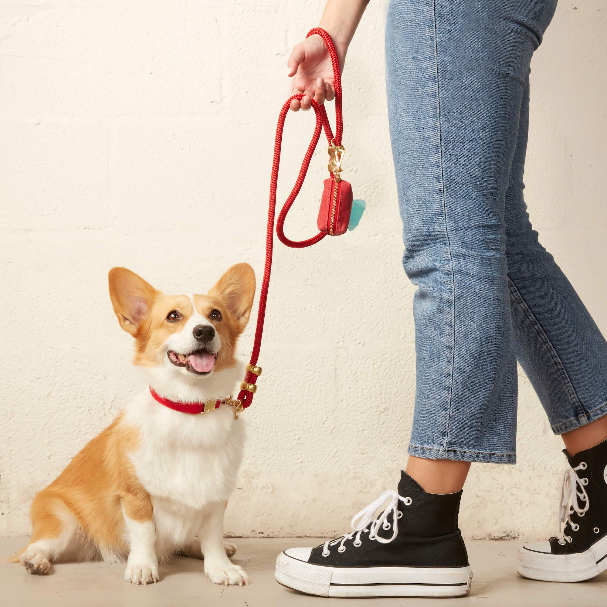 Ruby Valentine's Day Waxed Canvas Poop Bag Dispenser