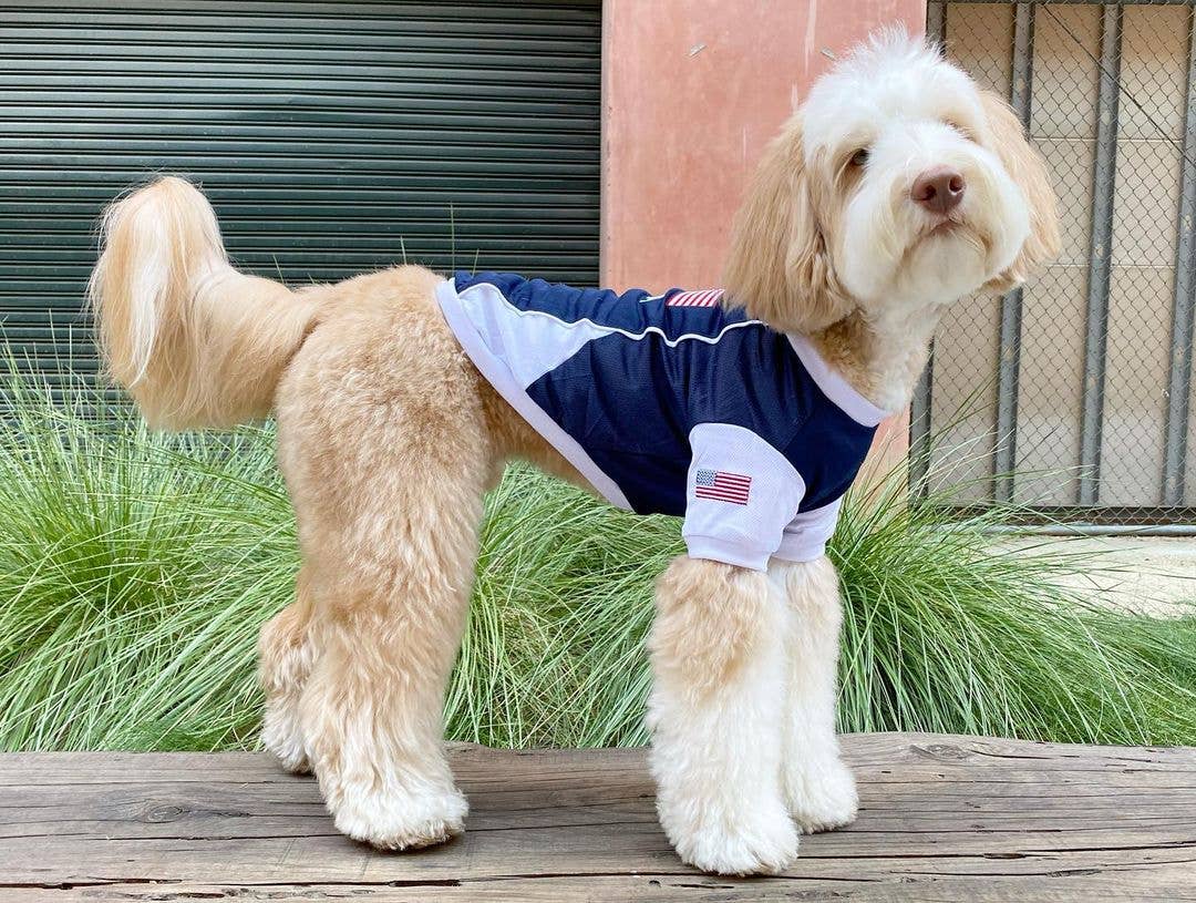 Team USA Jersey Dog T-Shirt – Perfect for Patriotic Pups