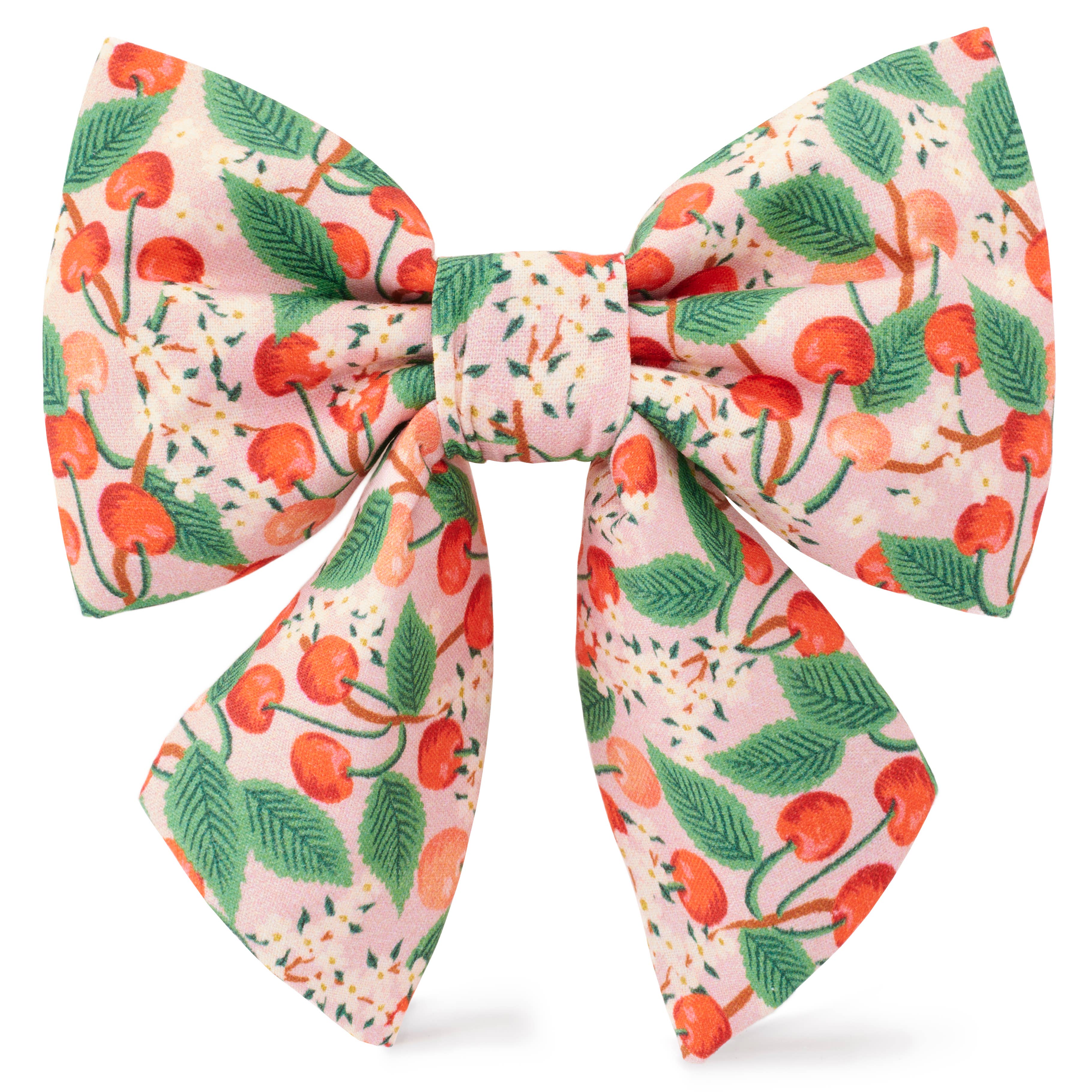 Rifle Paper Co. x TFD Cherry Blossom Spring Lady Dog Bow