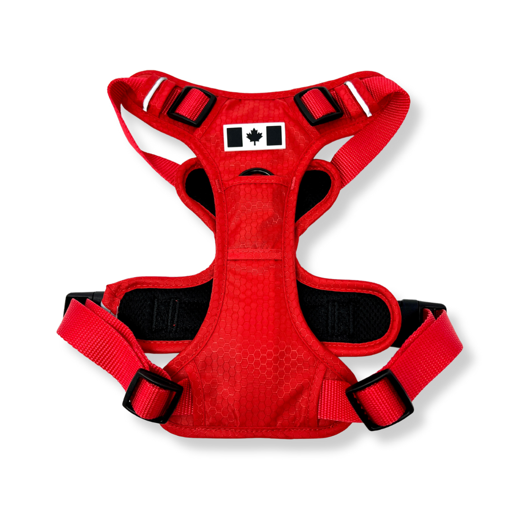 Summit All Terrain Harness