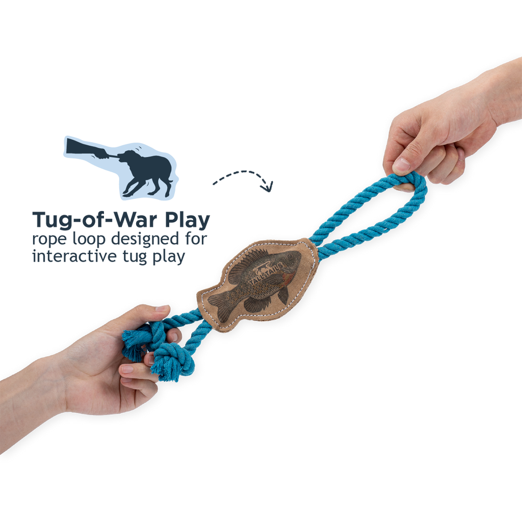 Natural Leather Fish Tug Dog Toy