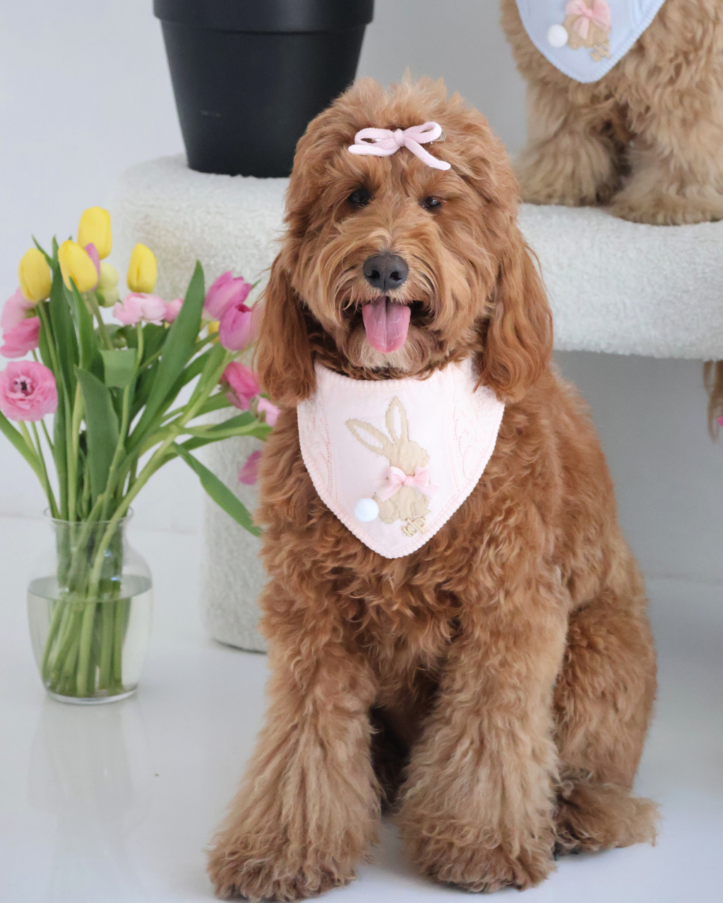 SPRING DOG BANDANA | MARLOWE