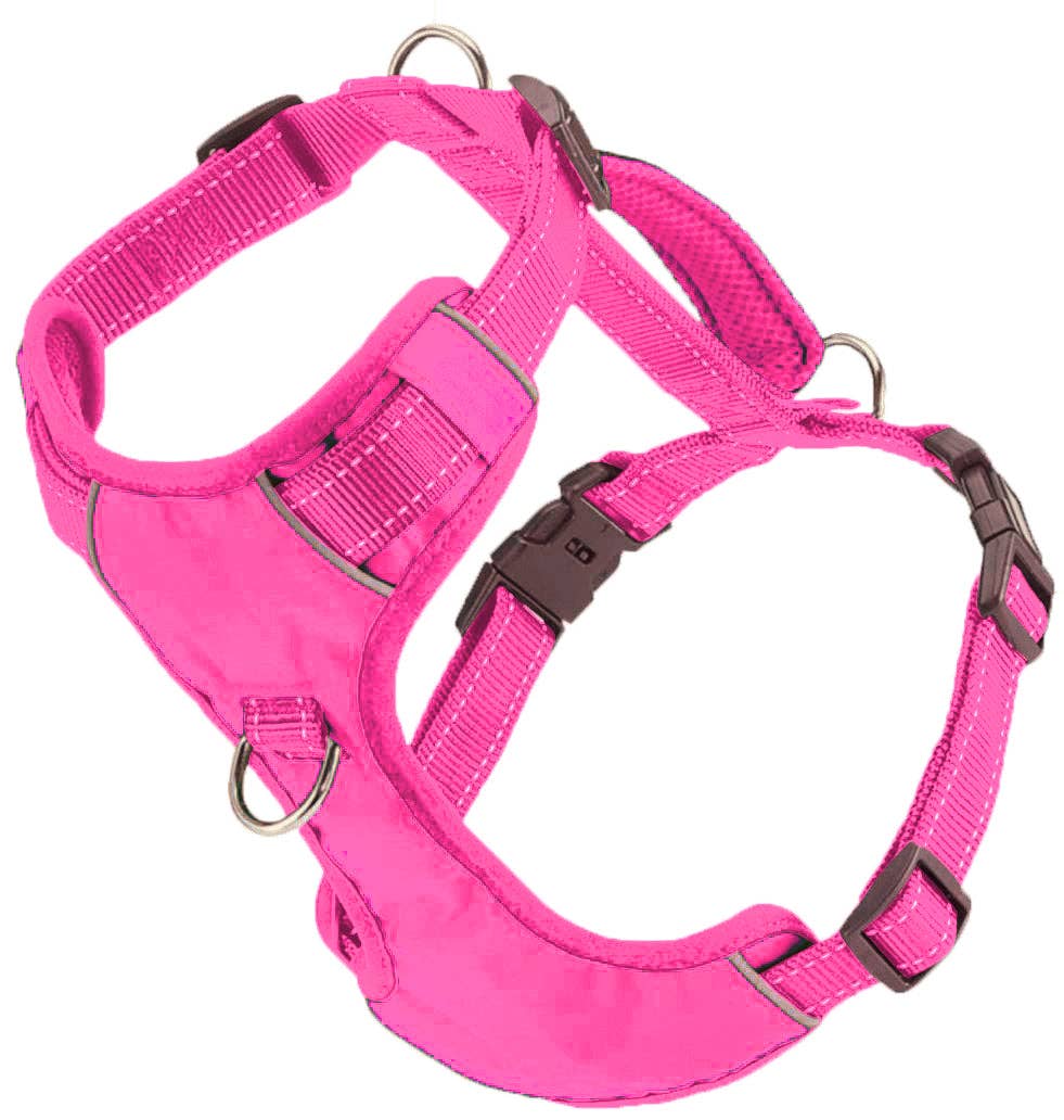 Chesapeake Bay Dog Harness