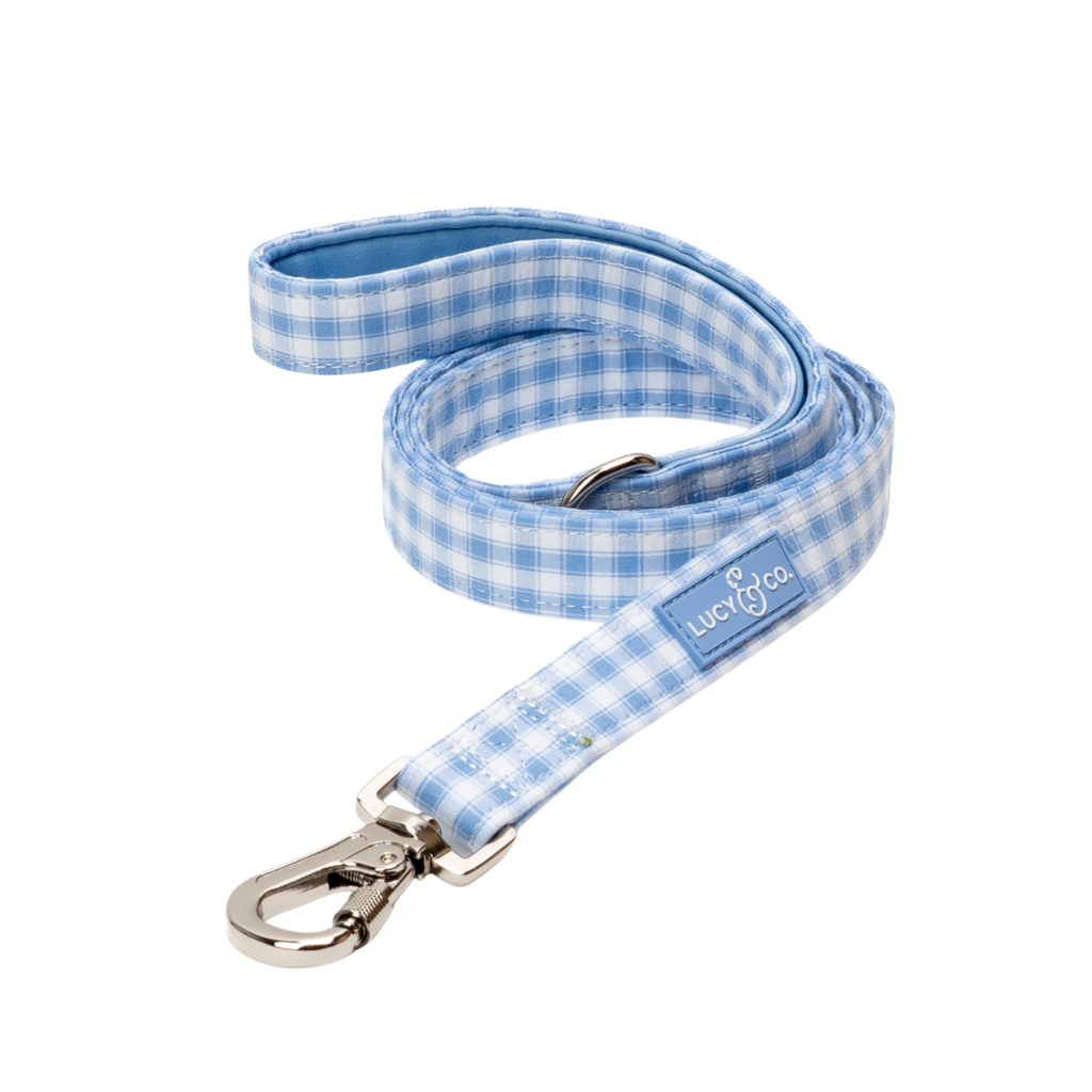 Silly Goose Leash