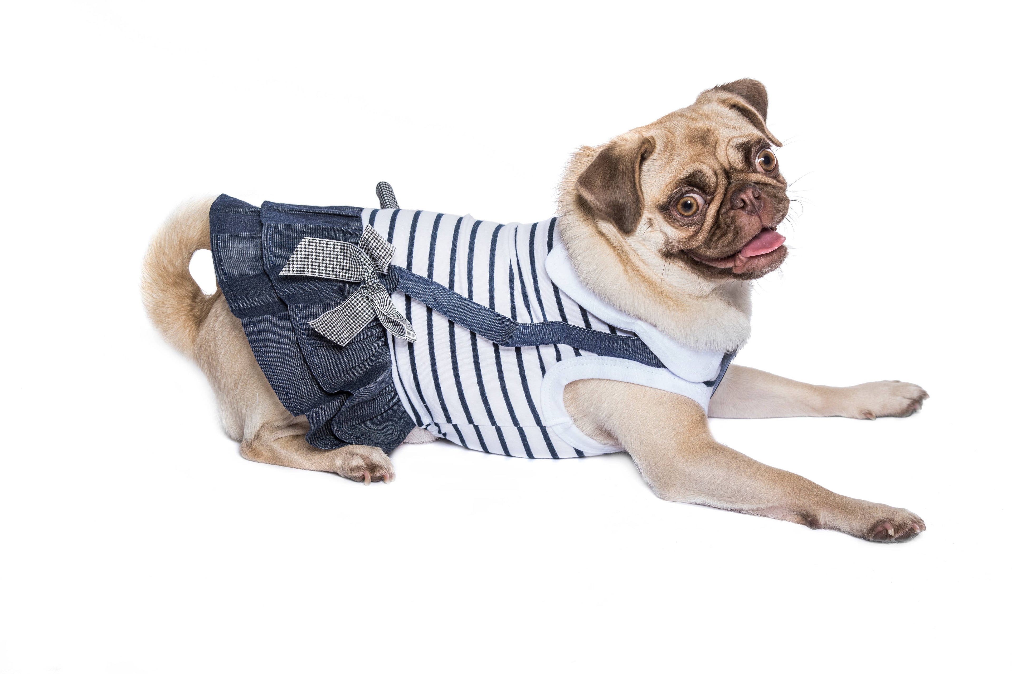 Preppy Girl Dress – Elegant Dog Dress with Plaid Design