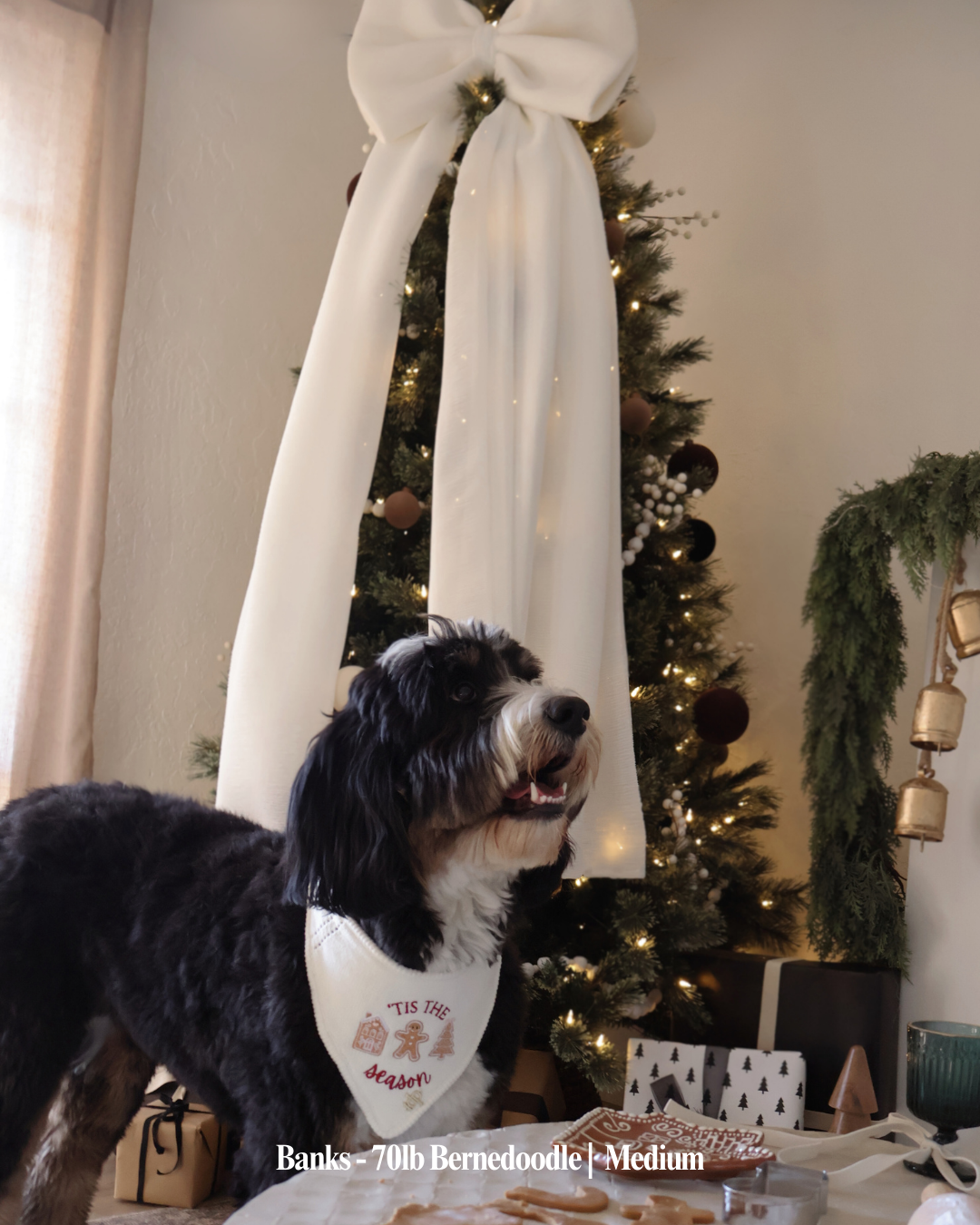 CHRISTMAS DOG BANDANA Falla