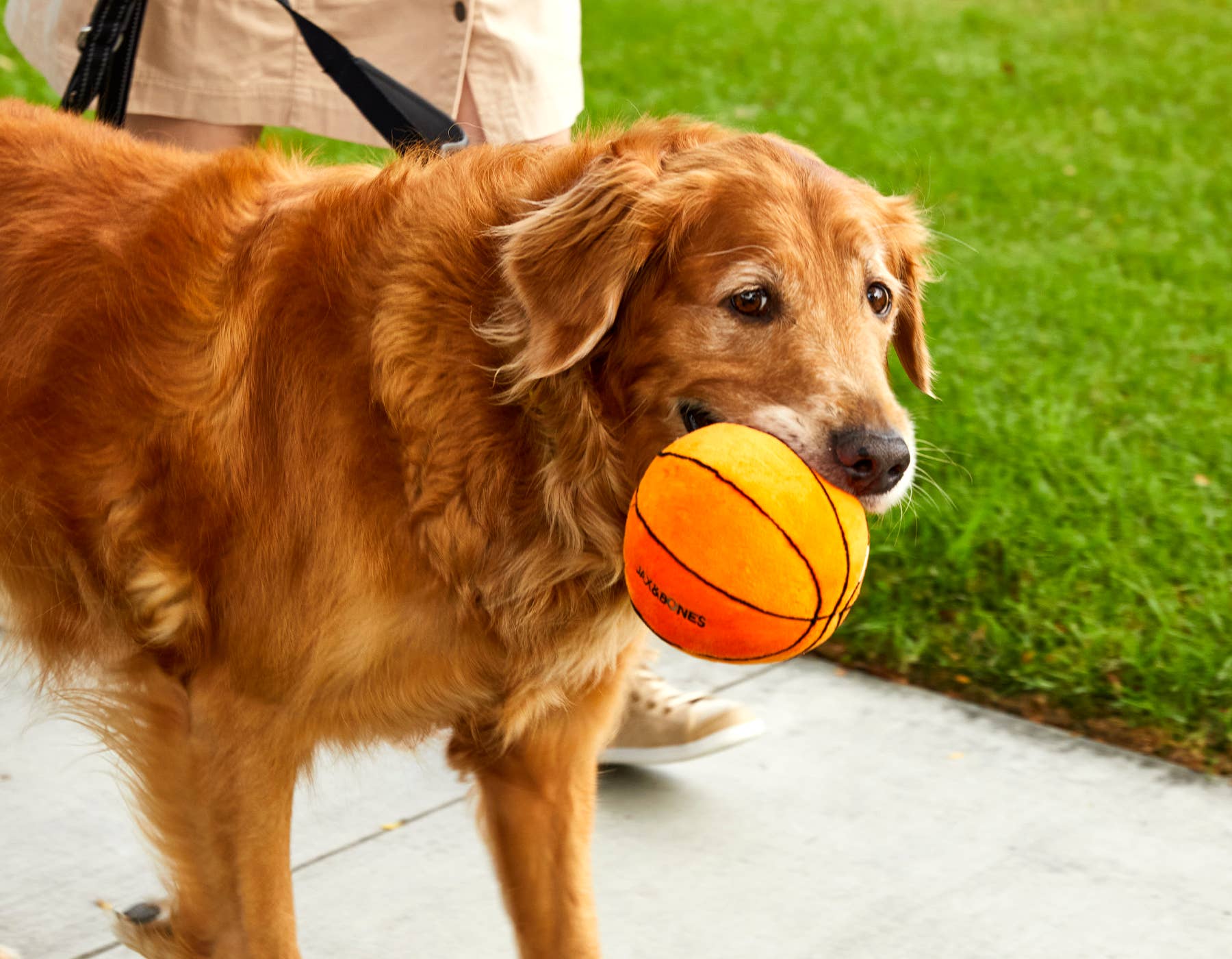 Basketball Plush Dog Toy w/Squeaker (One Size)