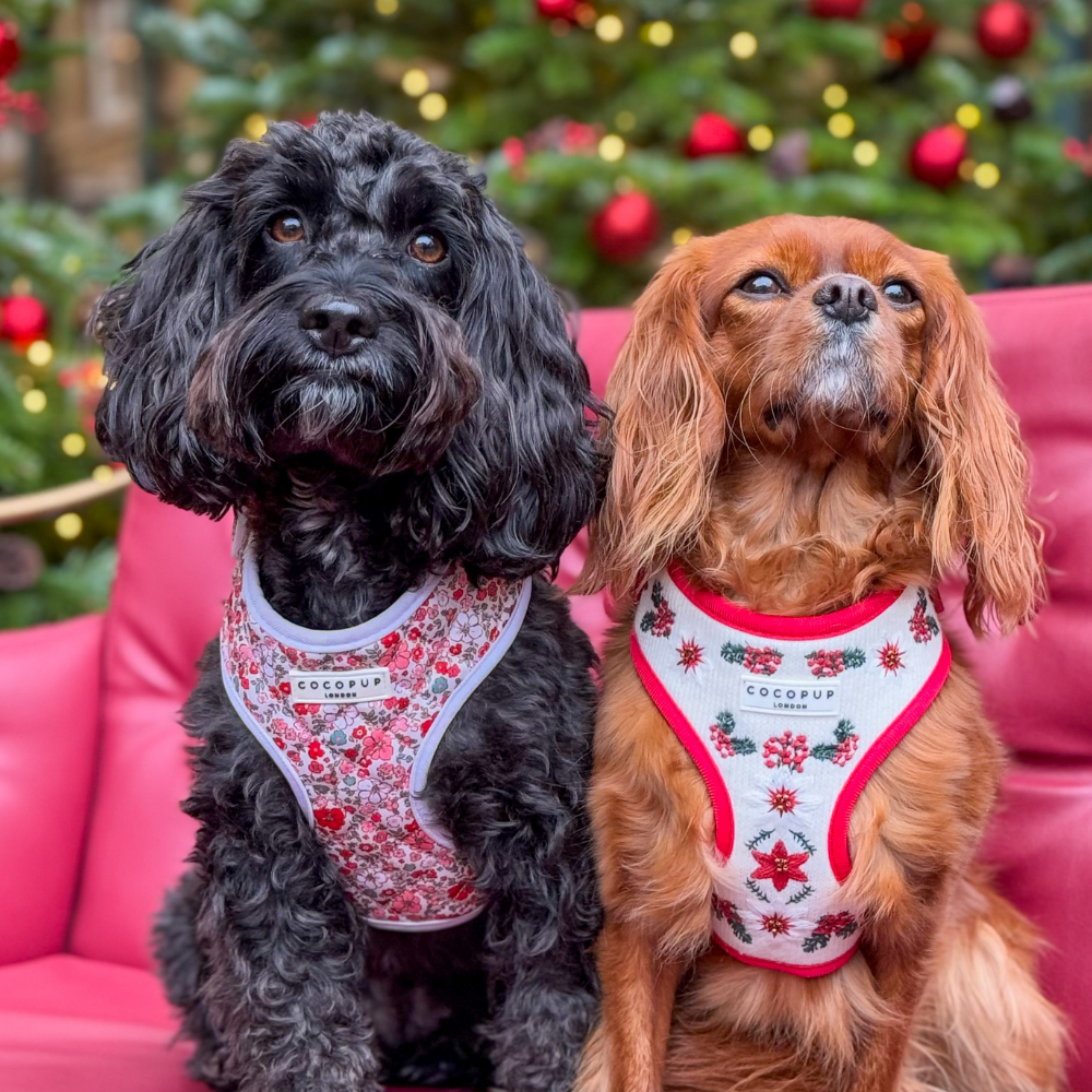 LUXE Embroidered Frosty Flower HARNESS