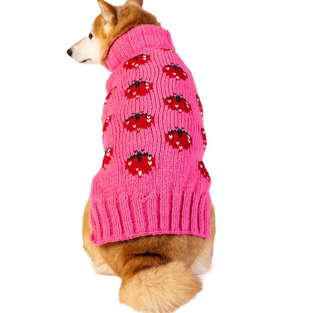 Chilly Dog Strawberry Dog & Cat Sweater