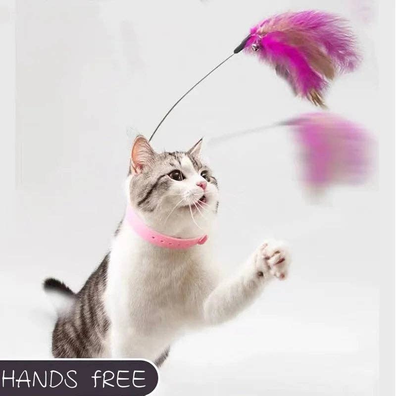 Interactive Cat Toys