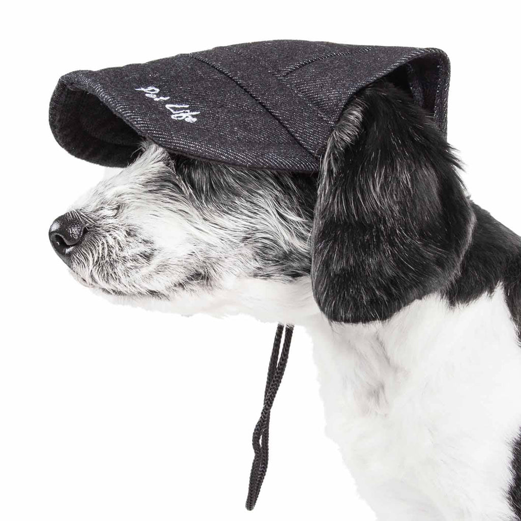 Black Dog Hat