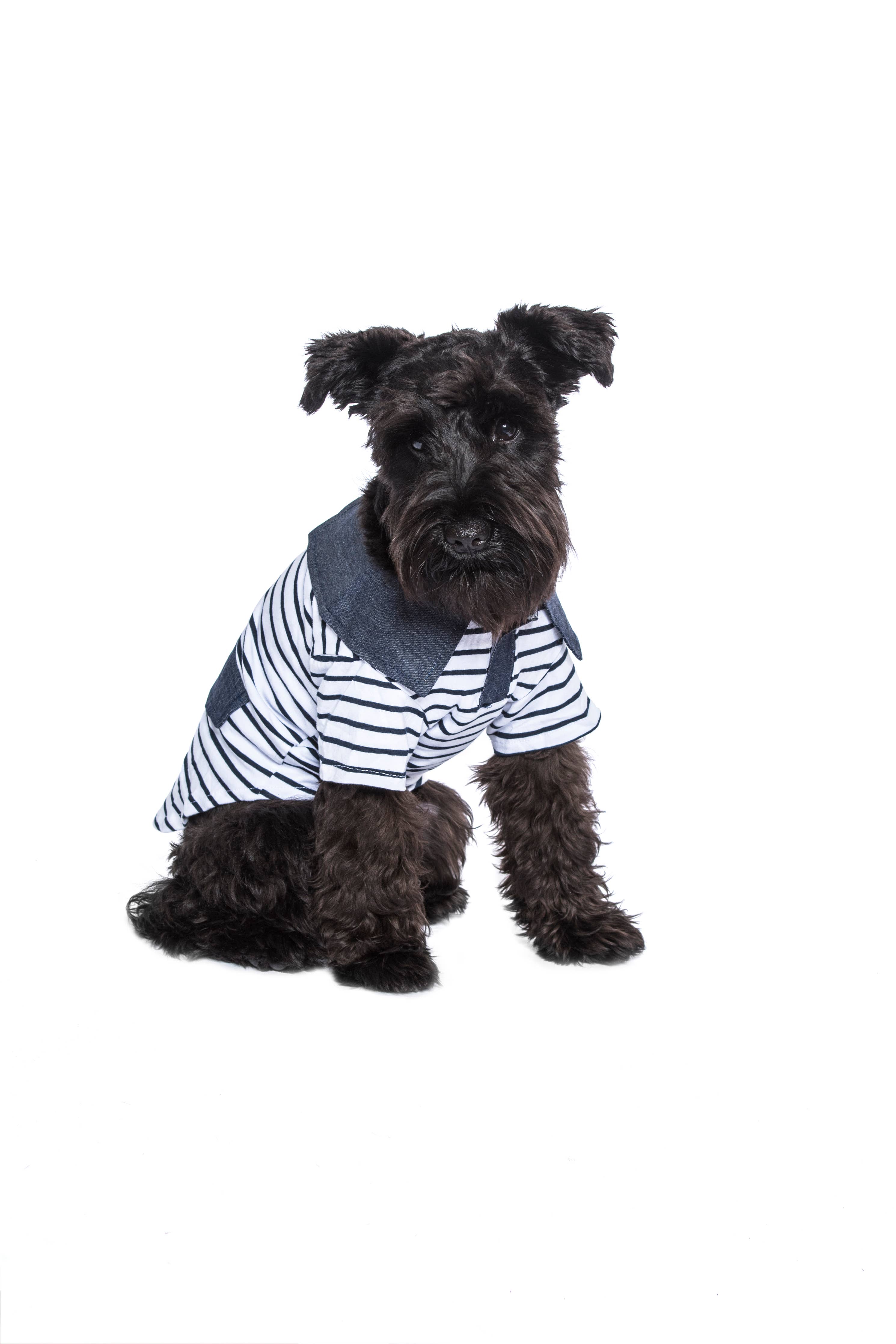 Preppy Boy Polo – Classic & Stylish Polo Shirt for Dogs