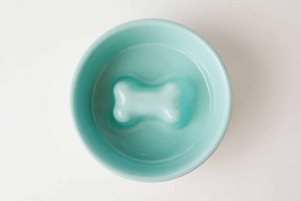 Bone Slow Feeder Bowl Teal (Three Sizes)